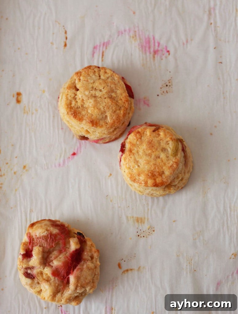 Roasted Rhubarb Buttermilk Scones with Brown Sugar Glaze 7 img 616 6