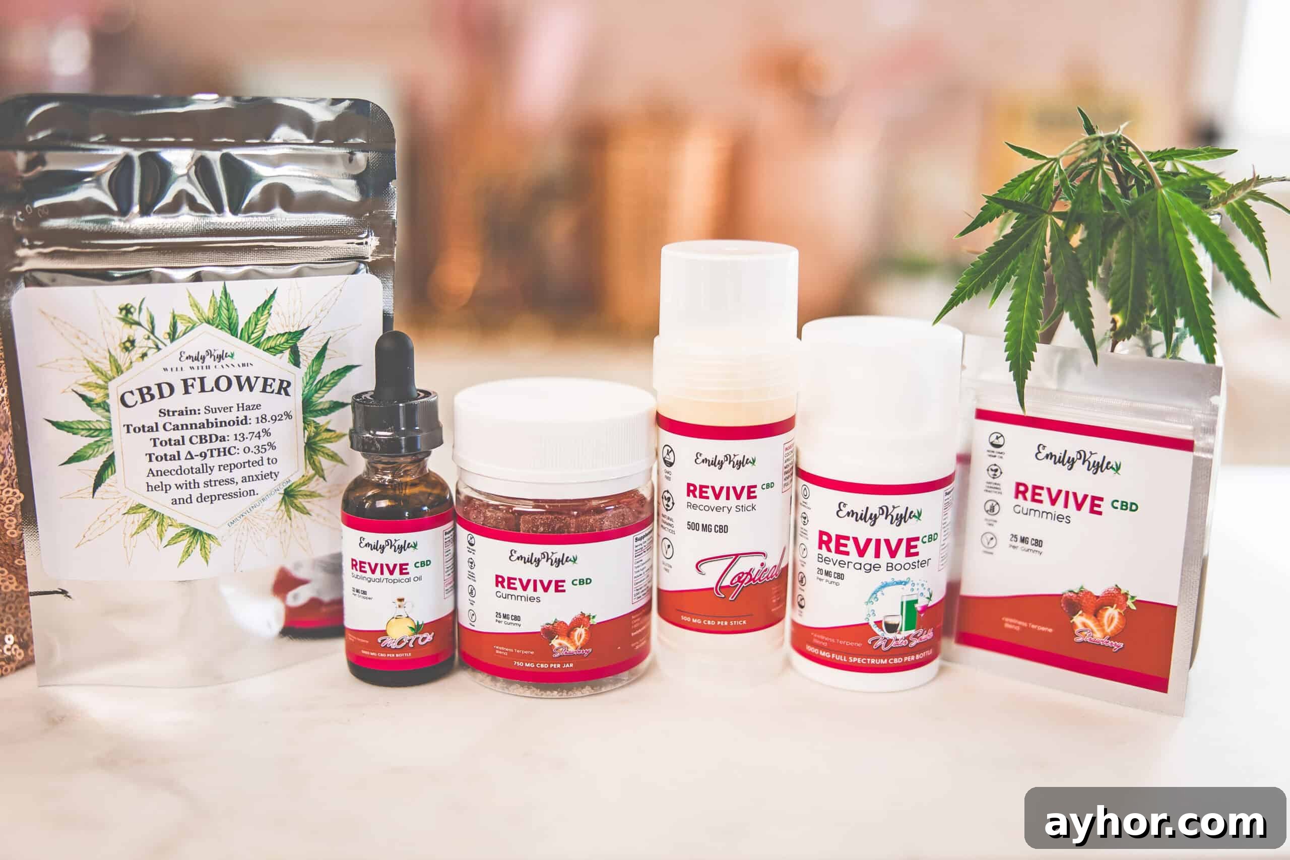 CBD for Wellness: A Complete Guide to Uses, Benefits, and Dosage 3 A picture of Emily Kyles CBD product line.