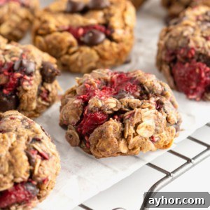 Flourless Dark Chocolate Raspberry Oatmeal Cookies by The BakerMama