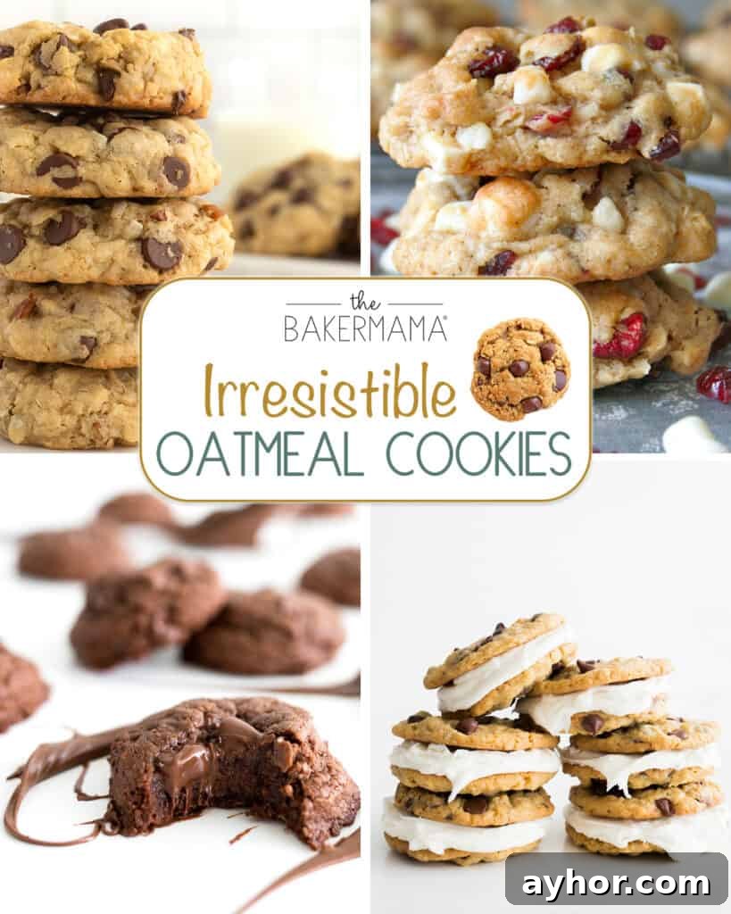 Irresistible Oatmeal Cookie Recipes by The BakerMama