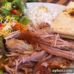 Pork Wrap Plates with shredded pork, green salad, steamed rice, and flour tortillas