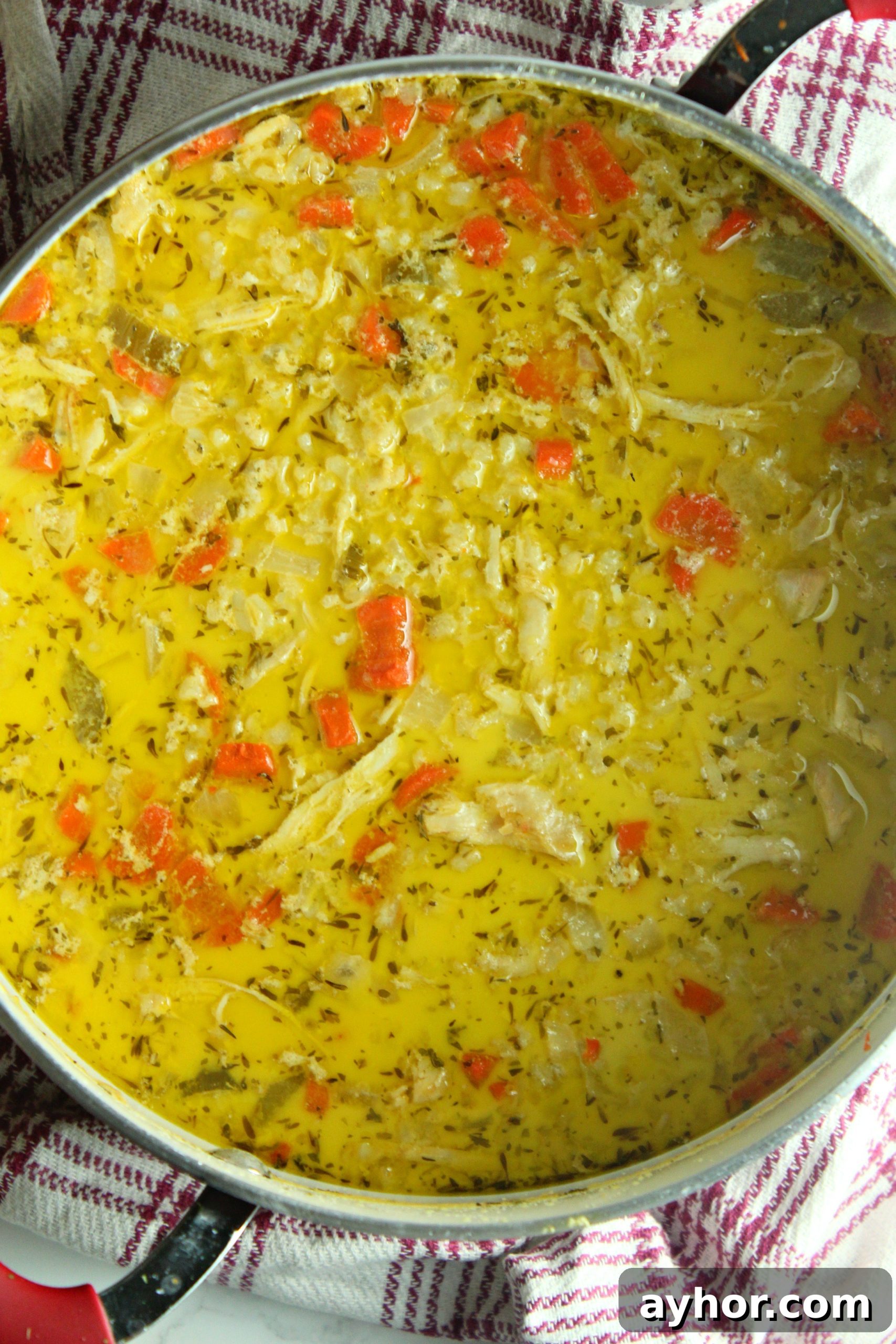 Ladle of soup