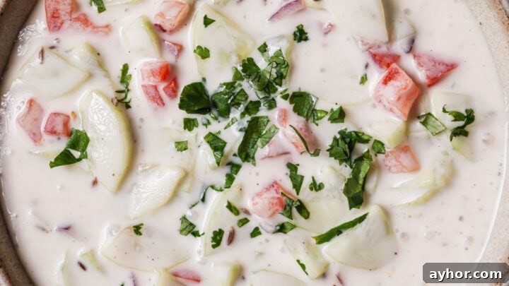Close up of a bowl of Vegetable Raita
