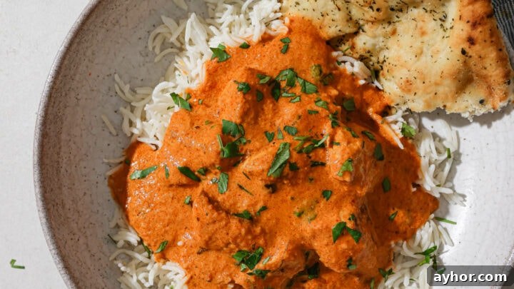 Butter Chicken with rice