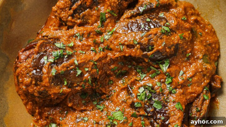 Bagara Baingan garnished with cilantro