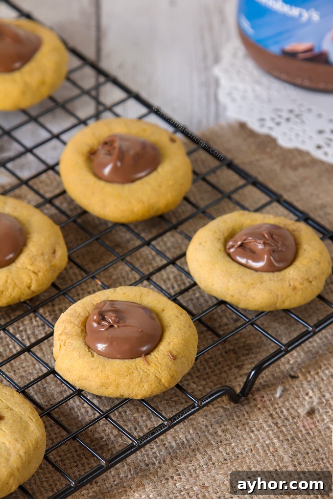 Pumpkin Chocolate Hazelnut Thumbprint Cookies 5 These Pumpkin Nutella Thumbprint Cookies are little bites of heaven.