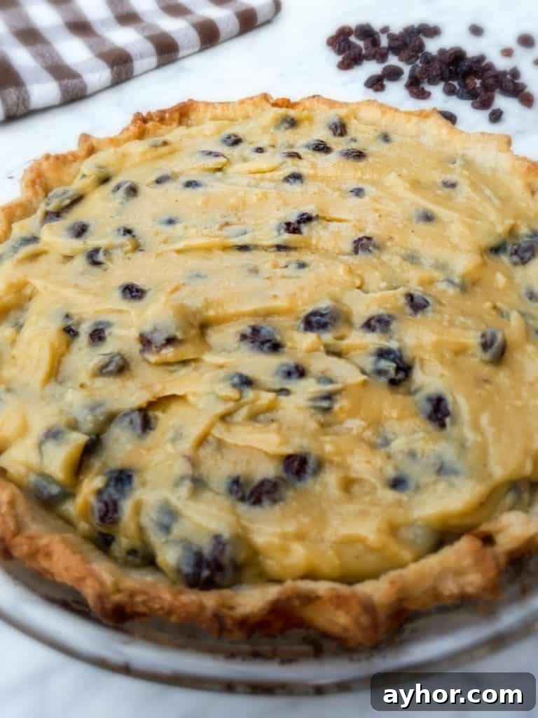 Classic Amish Raisin Pie Recipe: Old-Fashioned Southern Dessert 5 raisin-pie-and-raisins