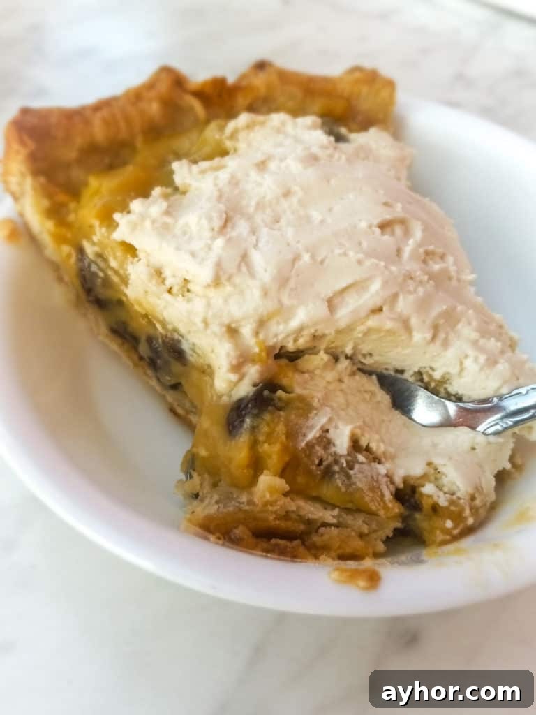 Classic Amish Raisin Pie Recipe: Old-Fashioned Southern Dessert 6 slice-of-raisin-pie-with-whipped-cream-on-top