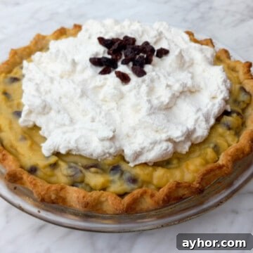 Classic Amish Raisin Pie Recipe: Old-Fashioned Southern Dessert 7 Amish rasin pie with whipped cream