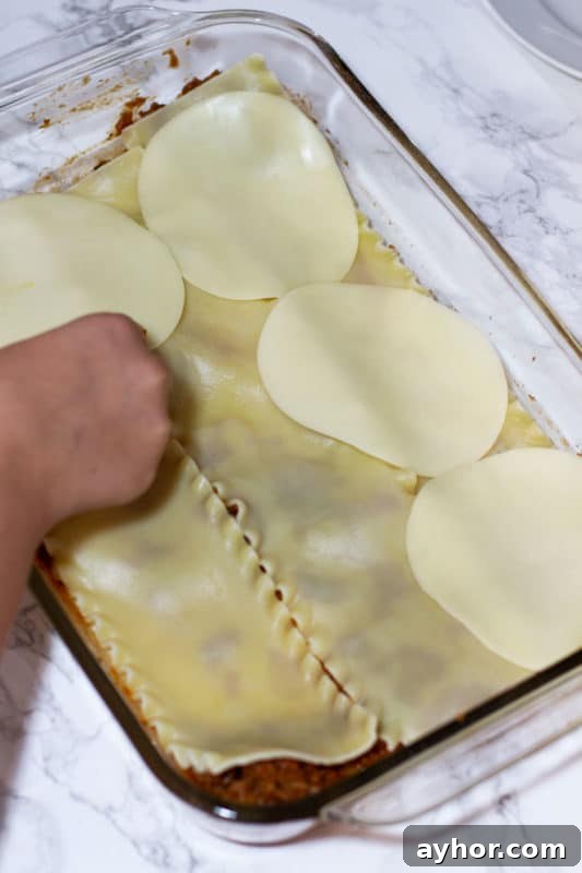 Classic Homemade Lasagna Recipe for Rich, Cheesy Layers 12 Provolone slices on noodles.