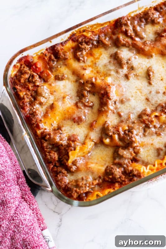 Classic Homemade Lasagna Recipe for Rich, Cheesy Layers 16 A pan of cooked lasagna fresh from the oven.