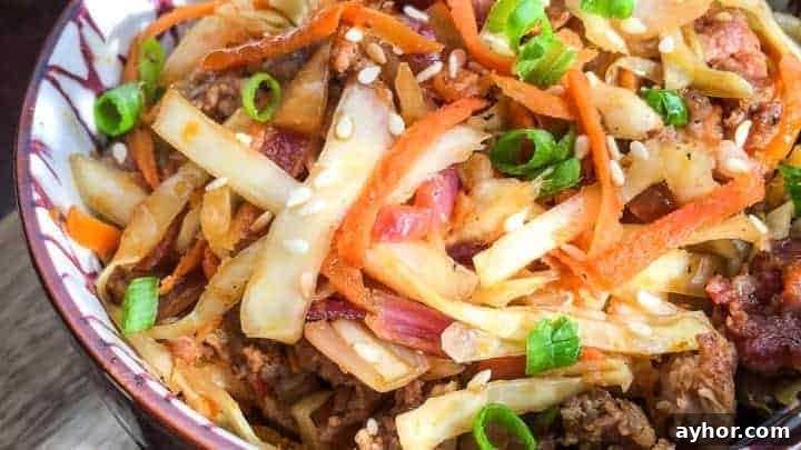 A bowl of food, with Egg roll and Coleslaw