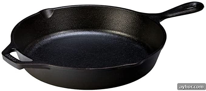 Oven Proof Skillet
