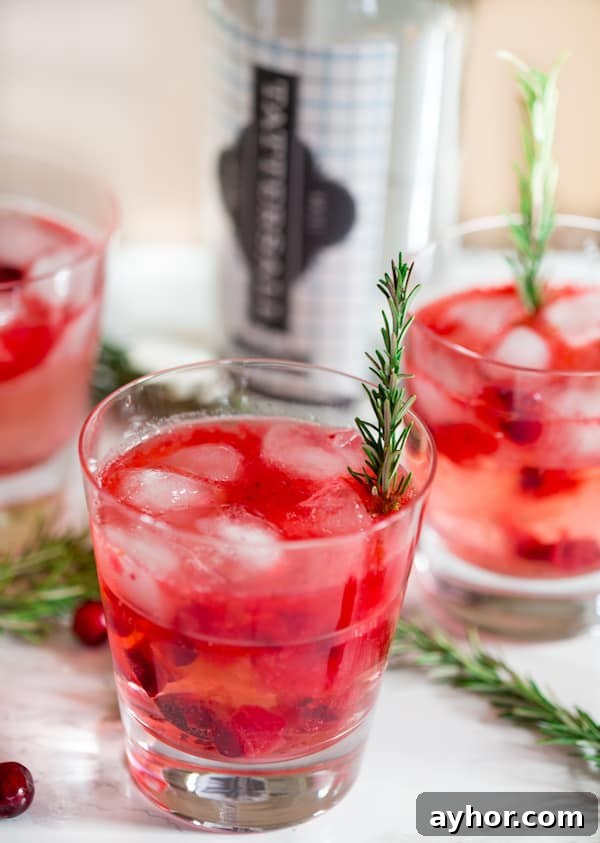 Cranberry Sauce Vodka Smash with Rosemary Decoration and Cranberry Berries around the Glasses