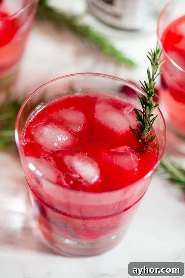 Cranberry Sauce Vodka Smash with Rosemary Decoration in a Glass