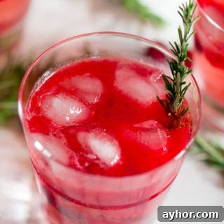 Cranberry Sauce Vodka Smash with Rosemary Decoration in a Glass