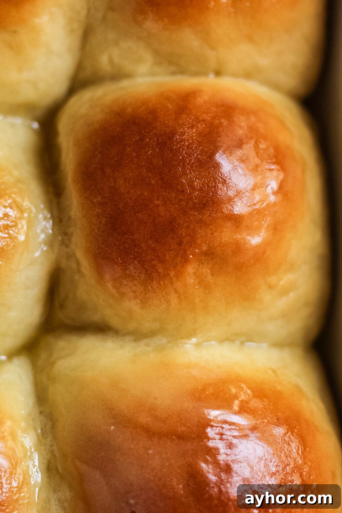 1-Hour Soft and Fluffy Dinner Rolls Recipe 3 honey butter rolls in baking dish.