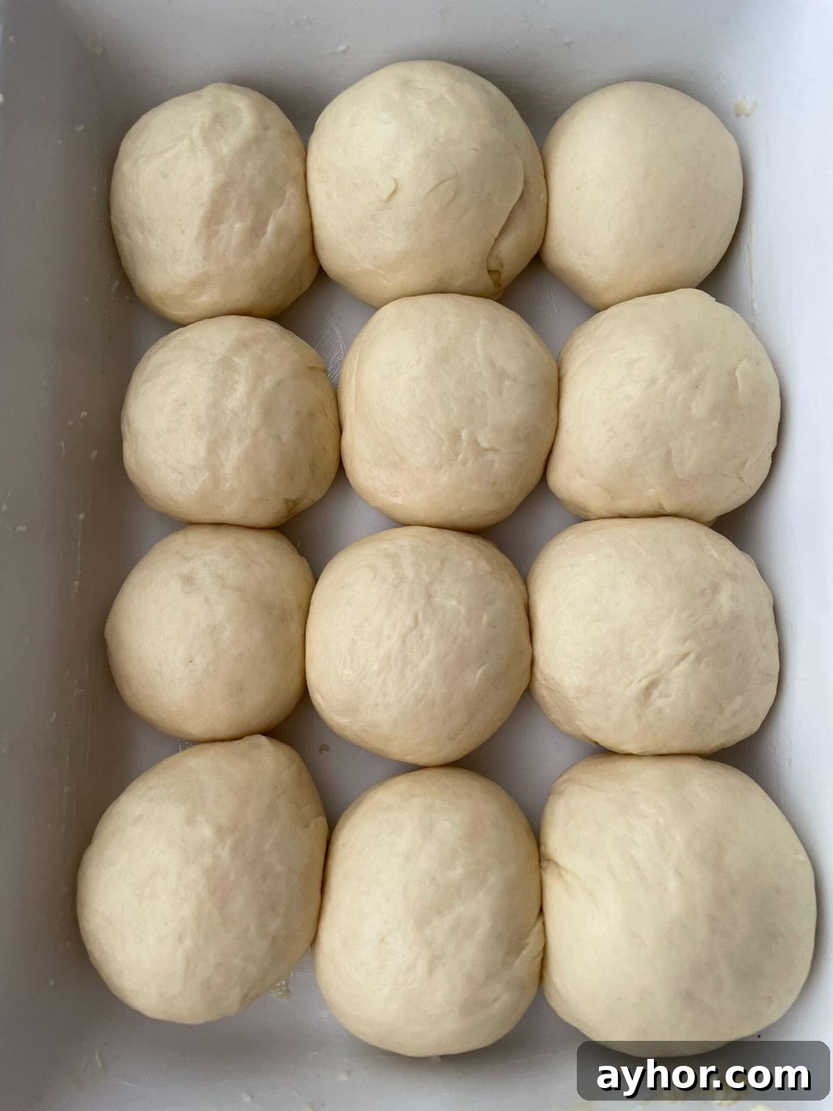 1-Hour Soft and Fluffy Dinner Rolls Recipe 8 rolls after rising