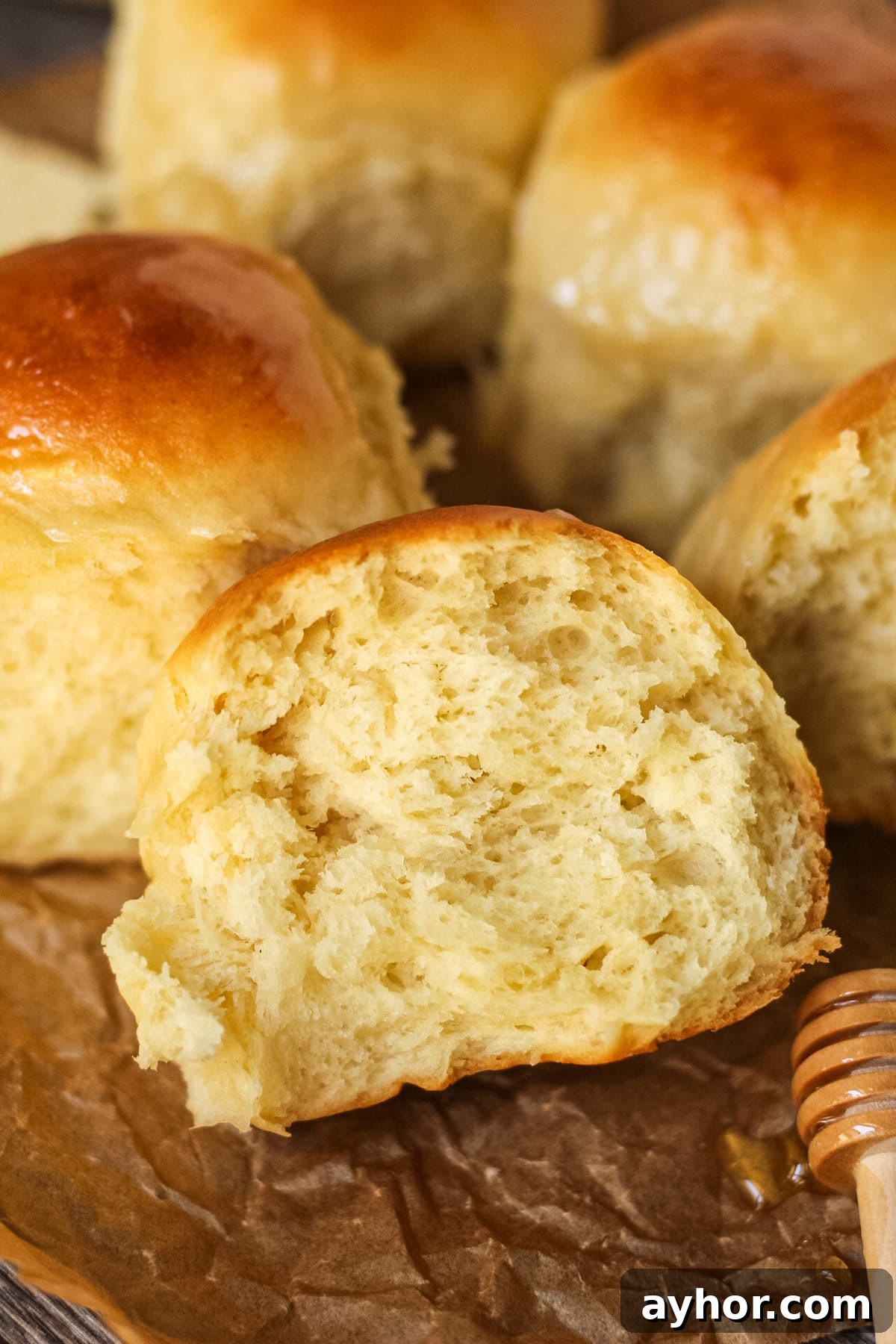 1-Hour Soft and Fluffy Dinner Rolls Recipe 10 honey butter dinner rolls on parchment paper. One roll torn open to show texture.