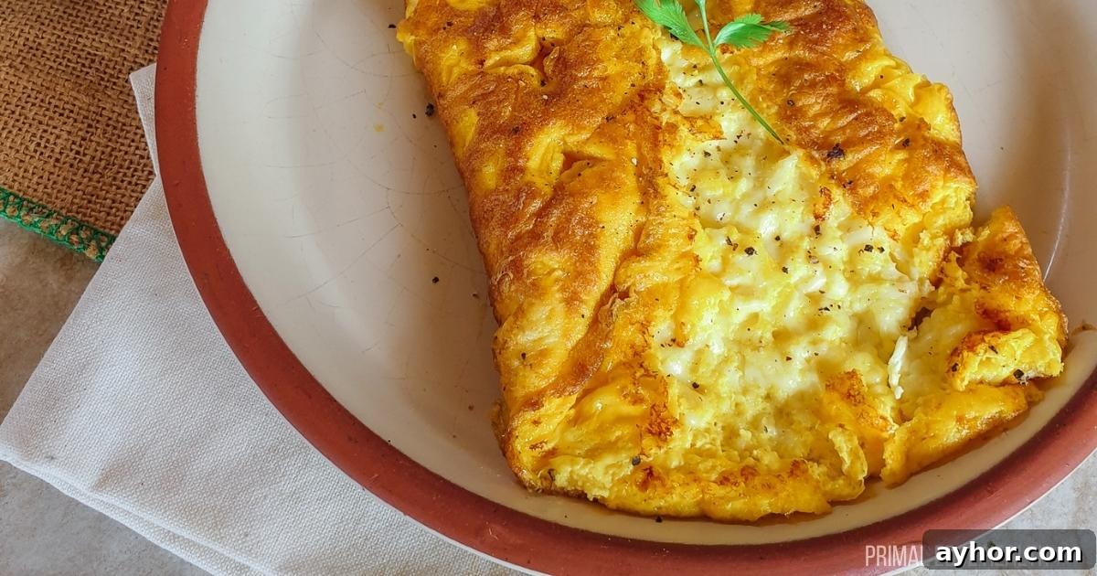 Three cheese omelette on a white plate.