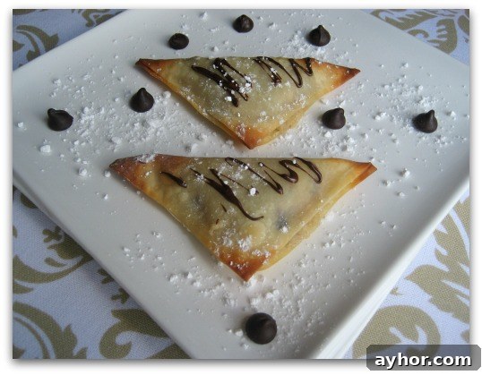 Chocolate Chip Cookie Dough Wontons: Sweet Dessert Bites 2 Chocolate Chip Cookie Dough Dessert Wontons on a plate with powdered sugar and chocolate chips