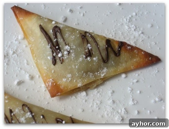 Chocolate Chip Cookie Dough Wontons: Sweet Dessert Bites 4 Chocolate Chip Cookie Dough Dessert Wontons