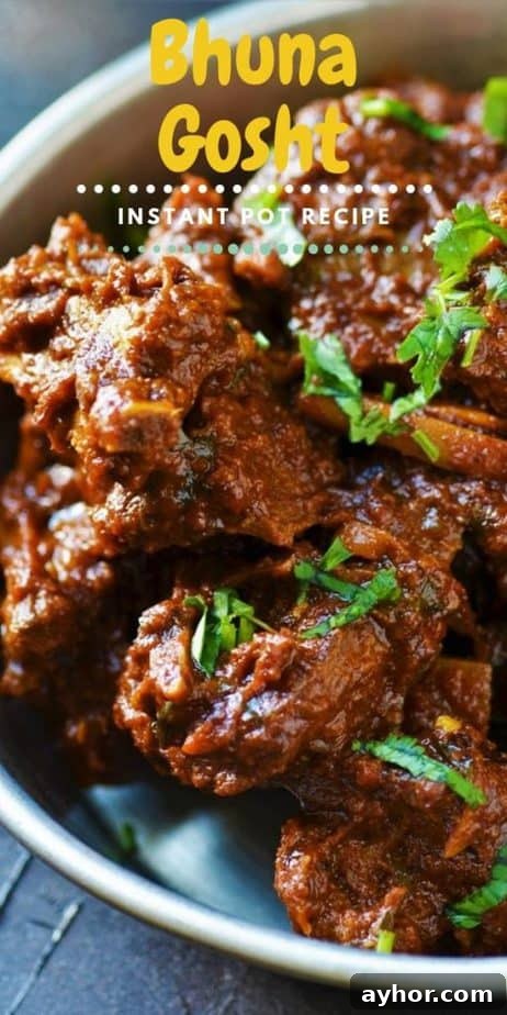 Indian Bhuna Gosht cooked with tender goat topped with cilantro