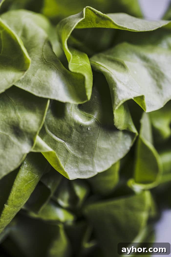 Paleo Cod Lettuce Wraps: Low-Carb Seafood Recipe 3 lettuce