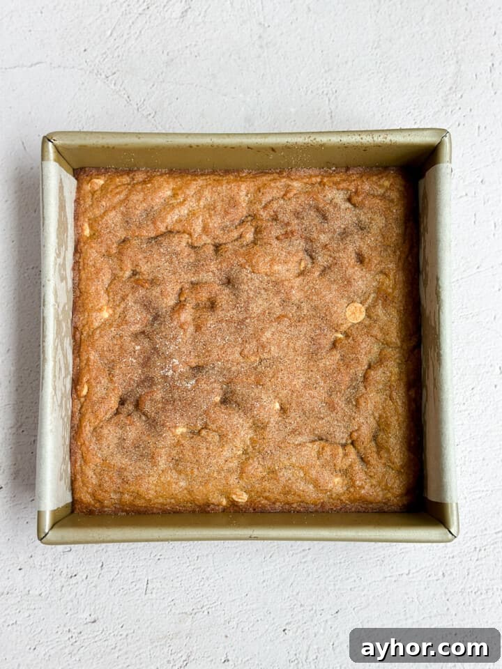 gingerbread blondies after baking.
