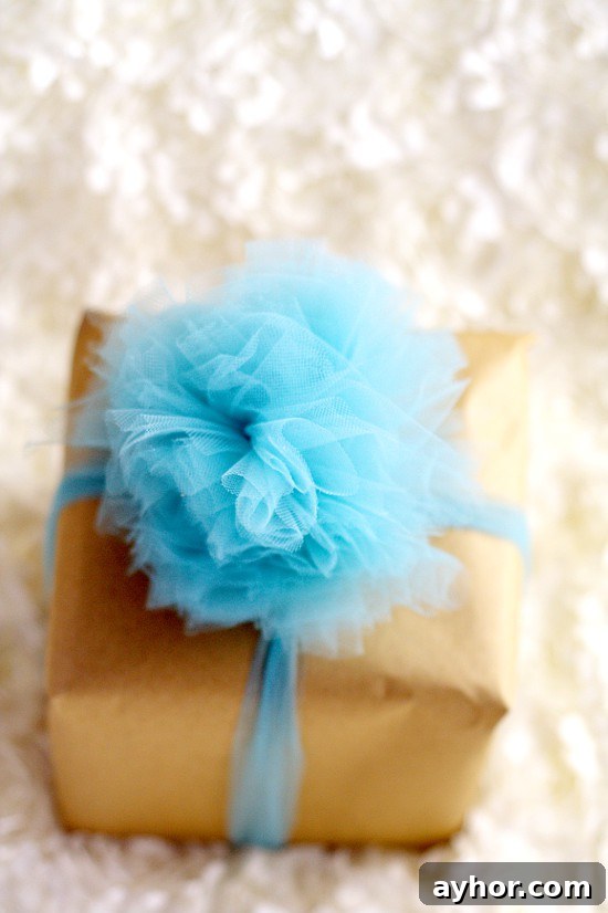 Tulle bow close-up on package