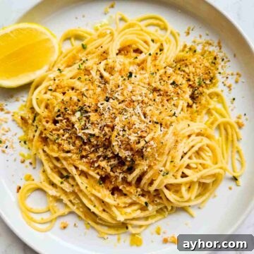 Close up plate of spaghetti topped with seasoned breadcrumbs