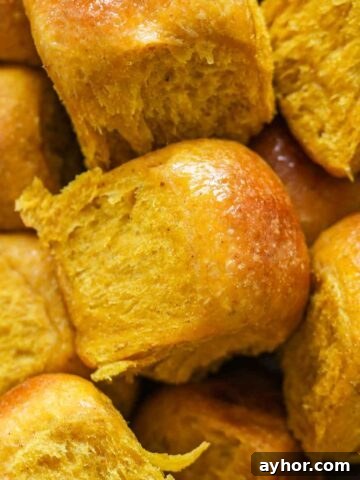 Sourdough Pumpkin Dinner Rolls.