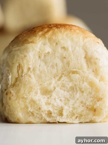 Close up on sourdough dinner roll, showing its soft crumb.