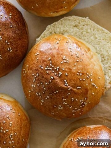 Sourdough Hamburger Buns on a parchment paper lined baking sheet.