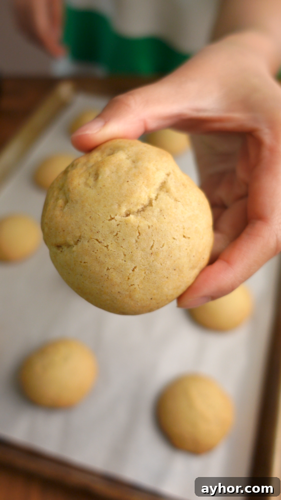 Bulgarian Medenki Honey Cookies Recipe for Soft Spiced Cookies 12 dipping cookies
