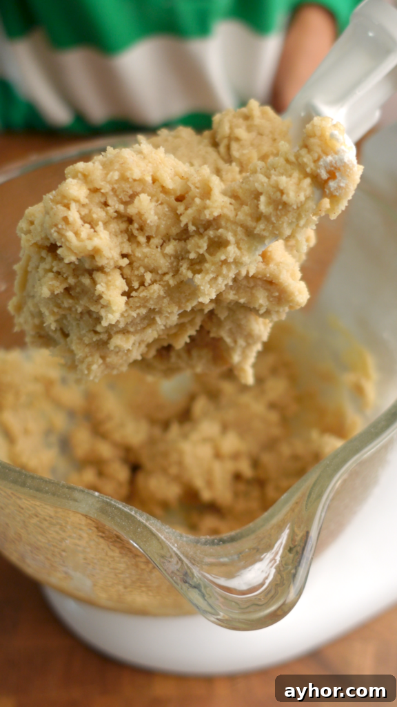 Bulgarian Medenki Honey Cookies Recipe for Soft Spiced Cookies 8 mixing dough