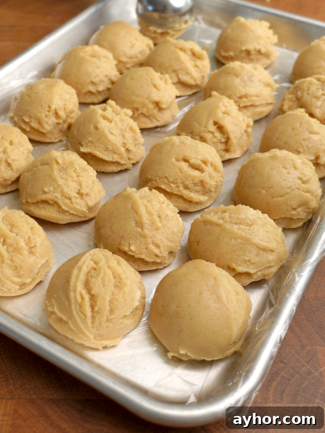 Bulgarian Medenki Honey Cookies Recipe for Soft Spiced Cookies 9 shaped dough chilling