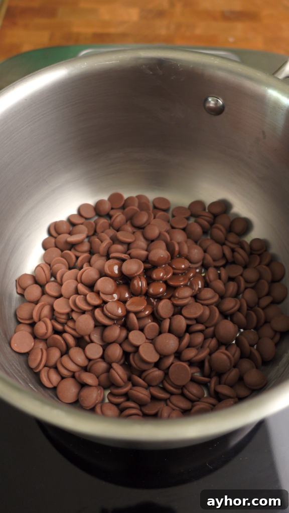 Bulgarian Medenki Honey Cookies Recipe for Soft Spiced Cookies 10 melting chocolate