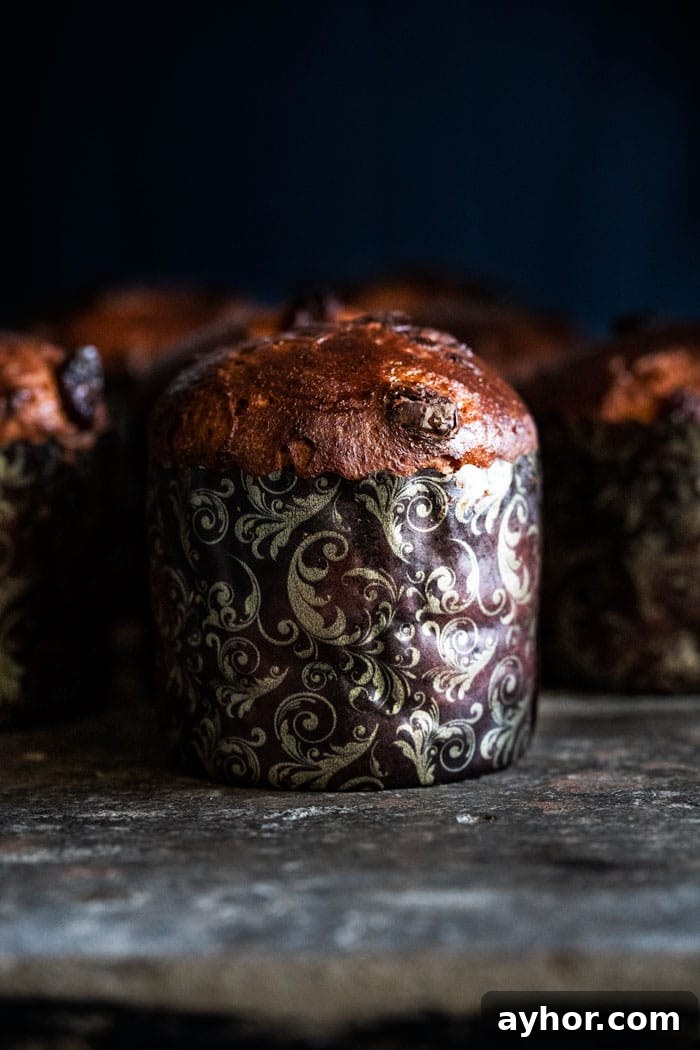 Gluten-Free Keto Panettone: Italian Christmas Bread 3 Mini Gluten Free & Keto Panettone (Italian Christmas Bread!)