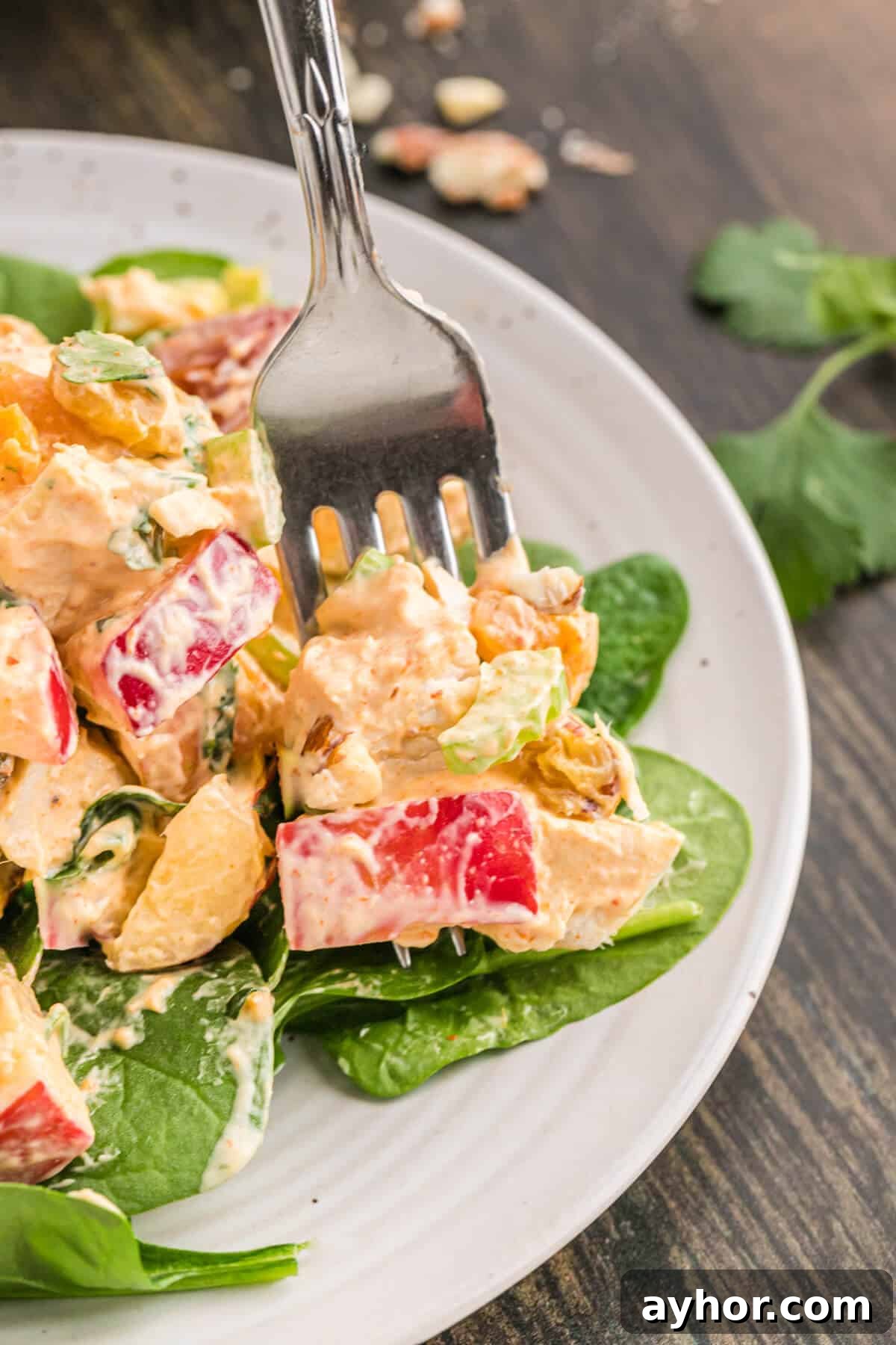 Classic Curried Chicken Salad Recipe for Sandwiches & Lunch 7 Famous curried chicken salad on a plate with a fork.