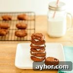 Double Chocolate Nut Butter Cookies