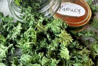 How to Dry Parsley: Dehydrator, Oven, Microwave and Air Drying
