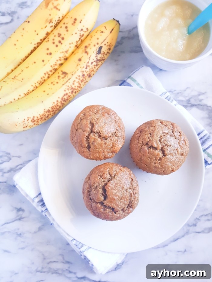 Moist Banana and Applesauce Muffins 2 Healthy Banana Applesauce Muffins - Lightly sweetened and made with whole wheat flour. These muffins are oil, butter, and dairy-free! A great alternative to traditional banana muffins.