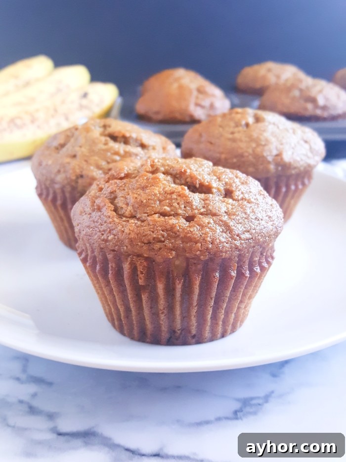 Moist Banana and Applesauce Muffins 3 Healthy Banana Applesauce Muffins - Lightly sweetened and made with whole wheat flour. These muffins are oil, butter, and dairy-free! A great alternative to traditional banana muffins.