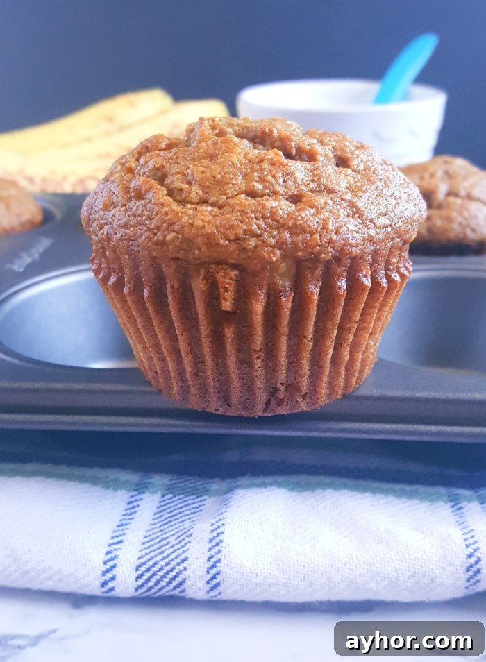Moist Banana and Applesauce Muffins 4 Healthy Banana Applesauce Muffins - Lightly sweetened and made with whole wheat flour. These muffins are oil, butter, and dairy-free! A great alternative to traditional banana muffins.