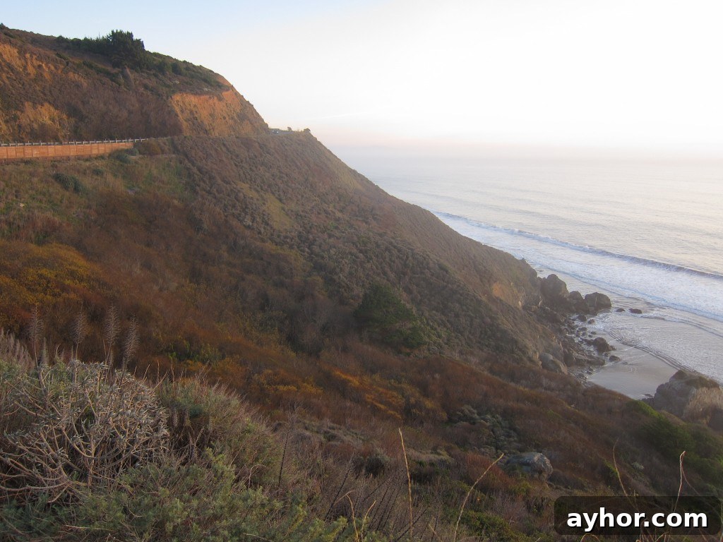 california coast beauty