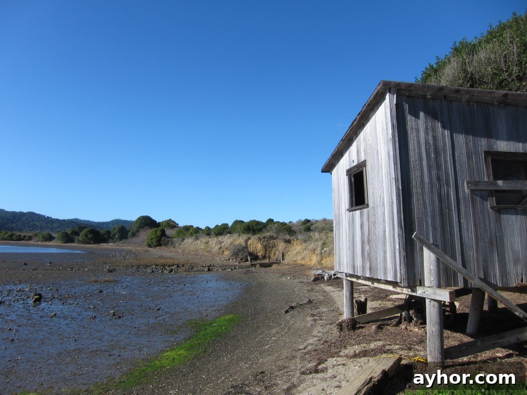 oyster shack