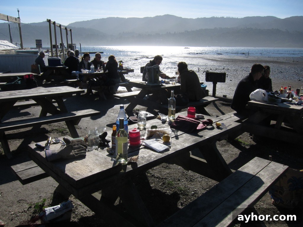 Tomales Bay