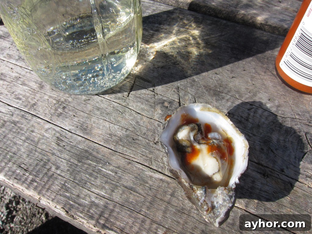 oyster; freshly shucked