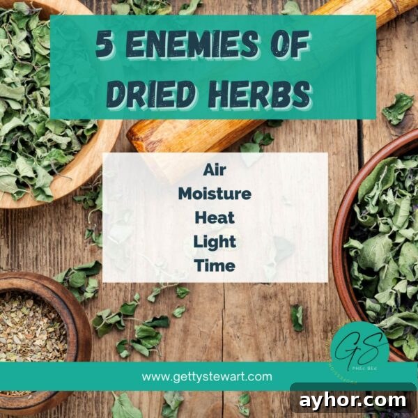How to Dry Parsley: Dehydrator, Oven, Microwave and Air Drying 13 list of 5 enemies of dried herbs air moisture light heat time